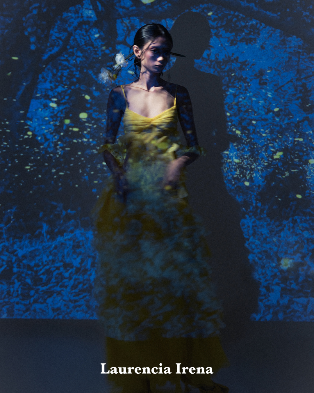 Coll 11 campaign 9 -2 with logo ig sized